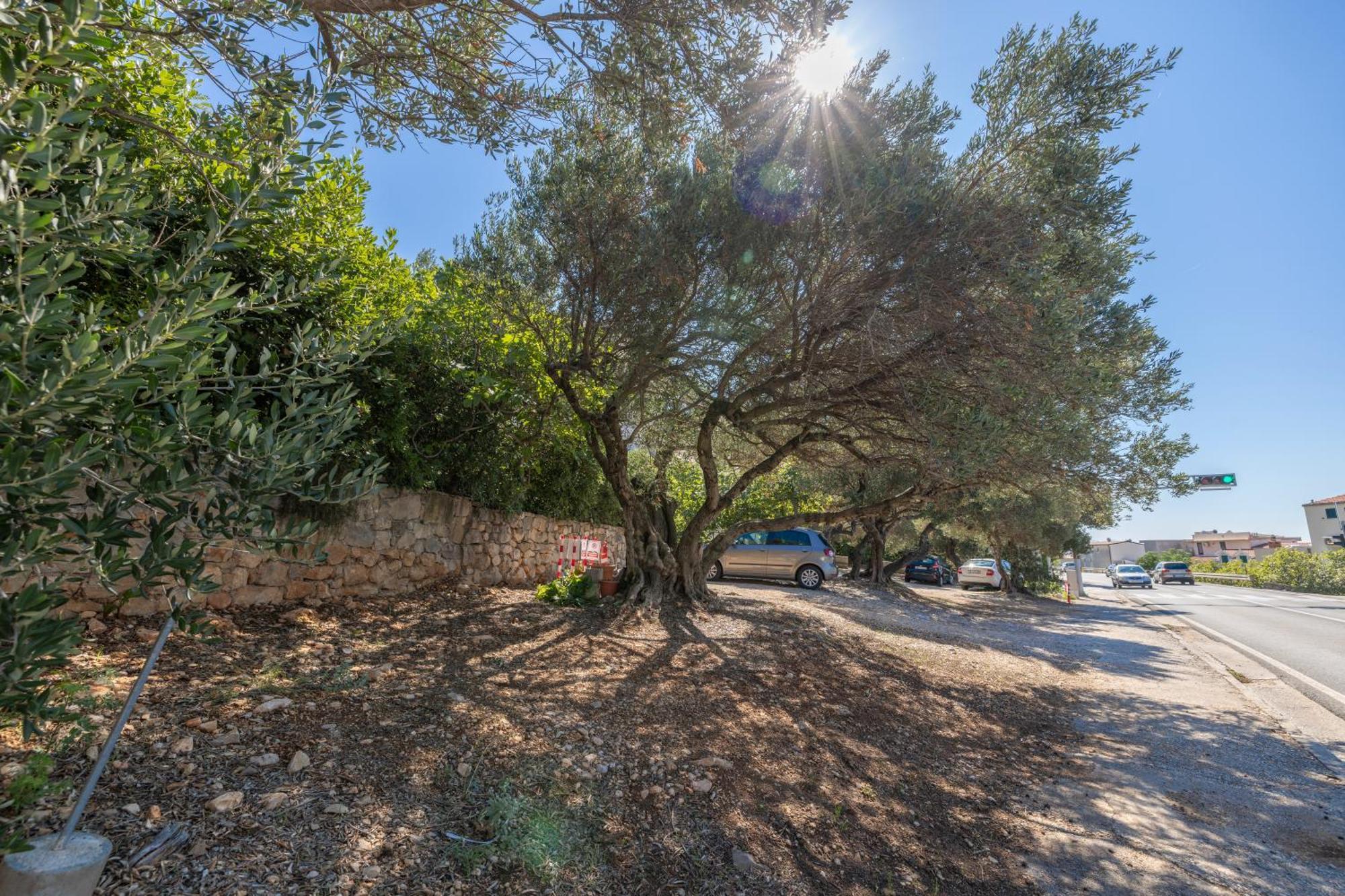 Apartmani Marta Tučepi Dış mekan fotoğraf